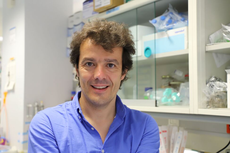Dr. Pablo Menéndez, new member of the Board of Directors of the International Society for Experimental Hematology