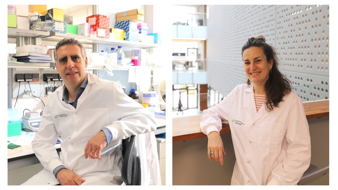 Cardiovascular diseases, also a target of the researchers of the Josep Carreras Institute