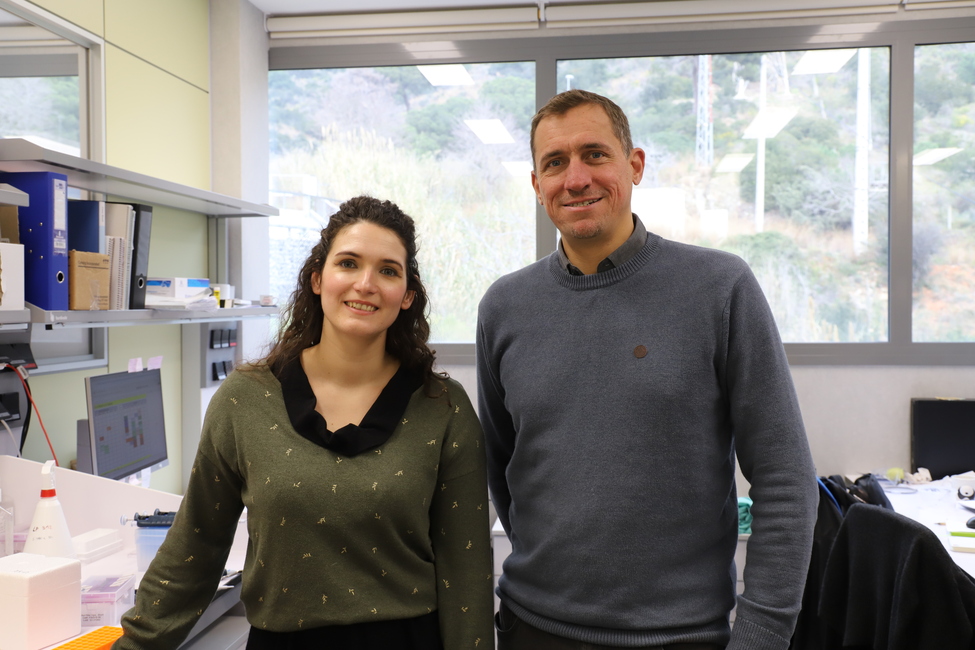 REVEAL, an EHA-funded project led by Dr. Natividad Alquézar-Artieda will focus on improving immunotherapy