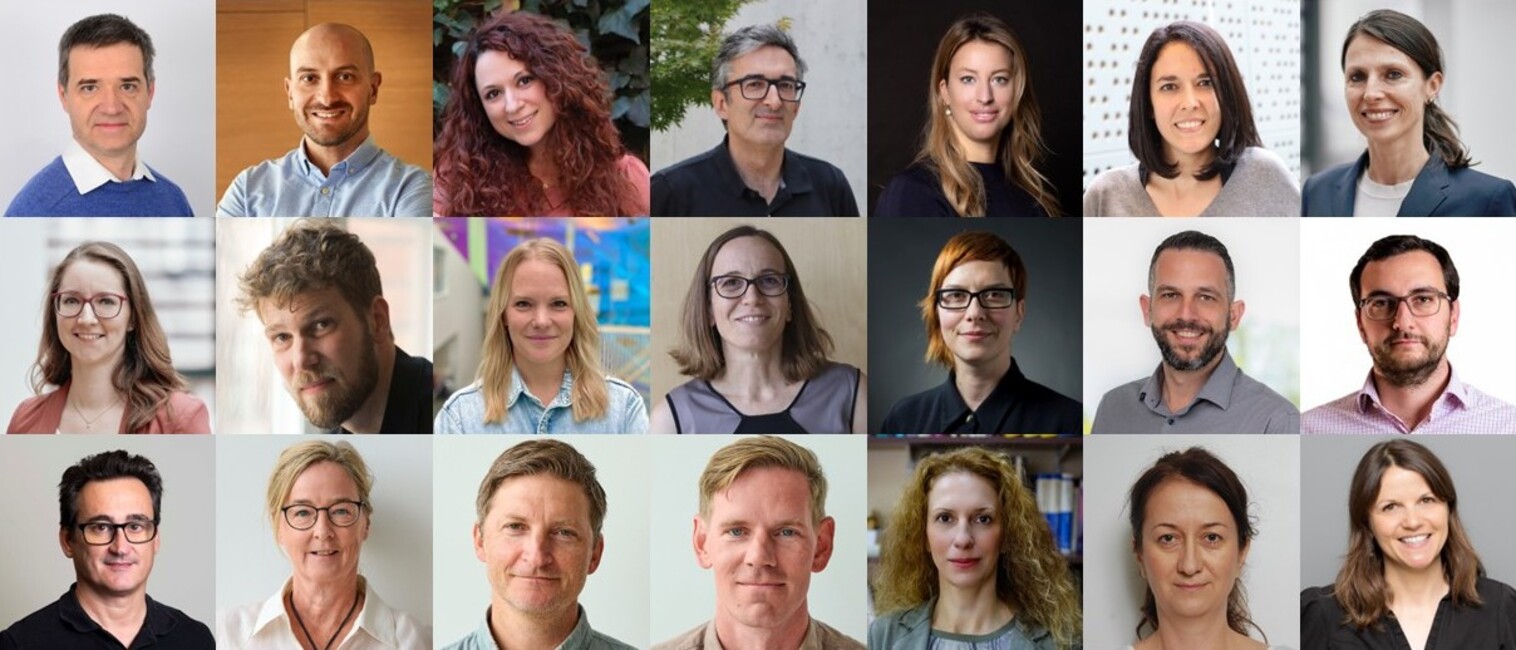 The ACHILLES project will train a new generation of researchers in experimental haemato-oncology to tackle leukaemia and lymphoma