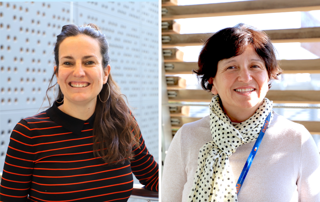 Mariona Graupera and Anna Bigas receive two ERC Synergy Grants to foster innovative knowledge on haematological disorders