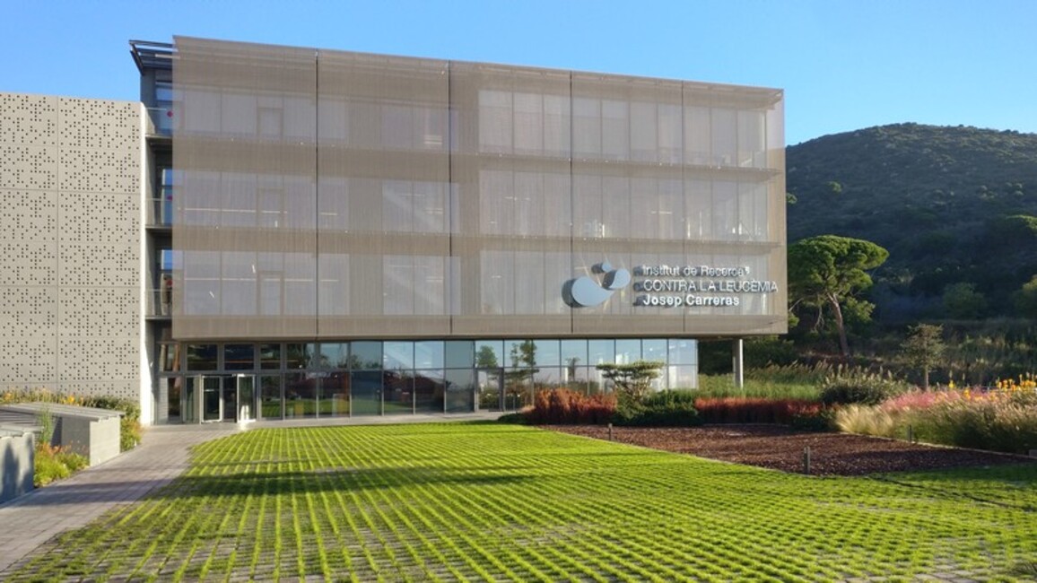 Call for applications for the selection of a Director of the Josep Carreras Institute is now open